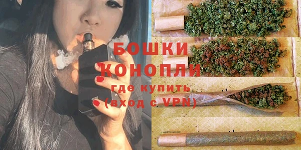 стаф Россошь