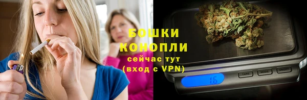 стаф Россошь