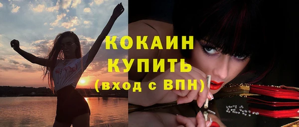 стаф Россошь