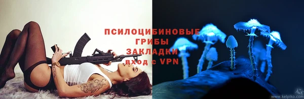 стаф Россошь