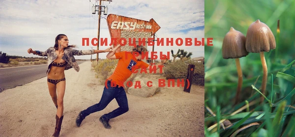 трава Магадан