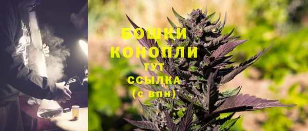 стаф Россошь