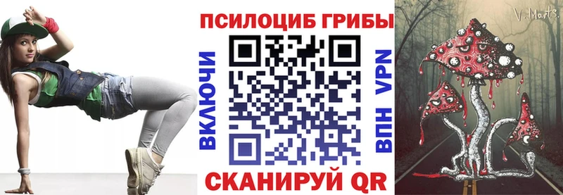 Галлюциногенные грибы Psilocybe  Томмот 