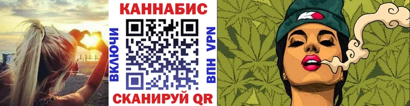 Канабис планчик  Томмот 