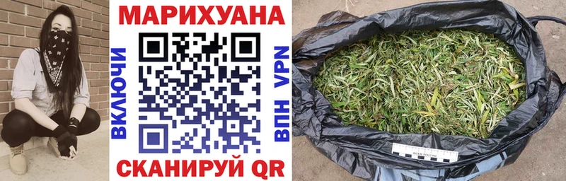 Каннабис планчик Томмот